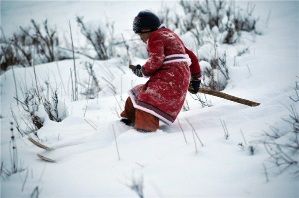 Traditional skiing lives on as fur flies