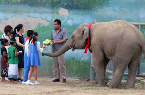 Beijing Zoo