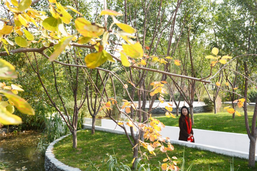 Autumn colors at Beijing Garden Expo Park