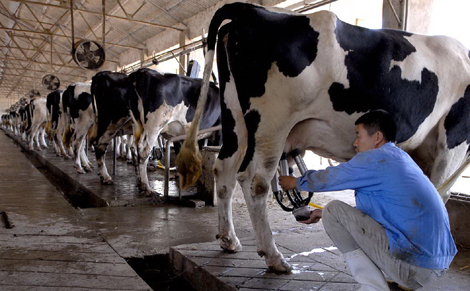 Dairy consolidation moves gather pace