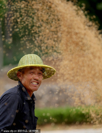 China realizes 8th summer grain harvest