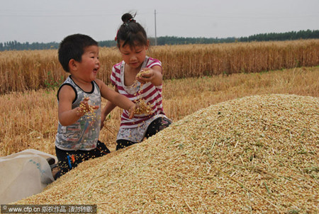 China realizes 8th summer grain harvest