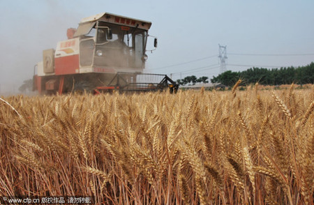 China realizes 8th summer grain harvest