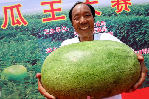 Giant watermelons compete in Henan