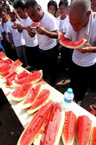 Giant watermelons compete in Henan