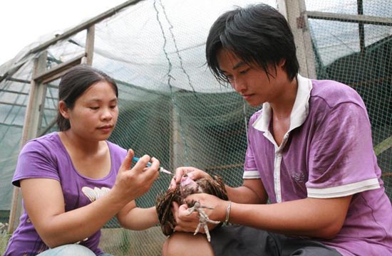 College graduate breeding a future in the mountains