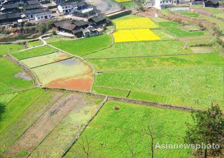 Grain shortage fuels land conservation