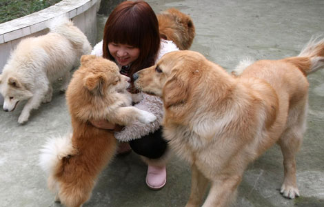 While masters away, hotels take care of pets