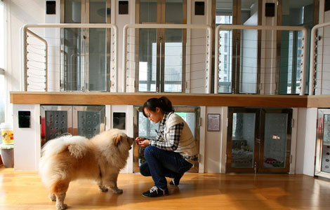 While masters away, hotels take care of pets