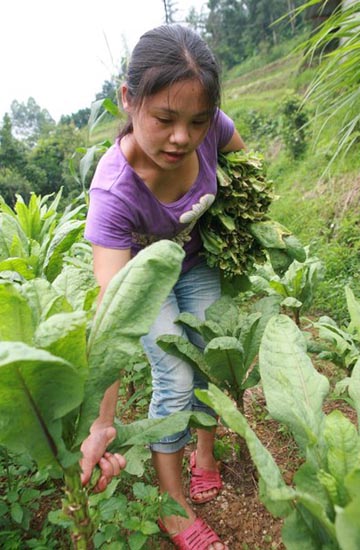 College graduate breeding a future in the mountains