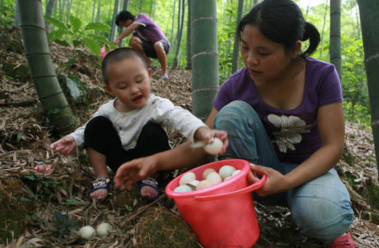 College graduate breeding a future in the mountains