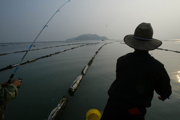 More people getting hooked on sea fishing