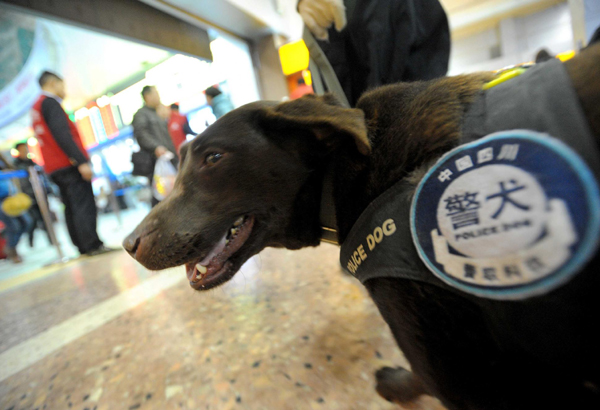 Police dog on duty during travel rush