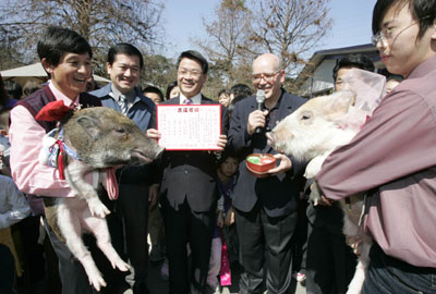 ,,wedding ceremony,year of the pig,