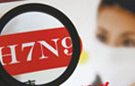 China reports 60 H7N9 human infections, 13 dead