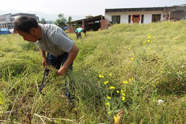 Quake-hit county gradually recovers