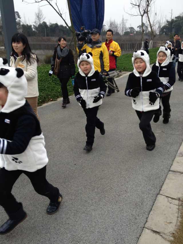 Live panda report