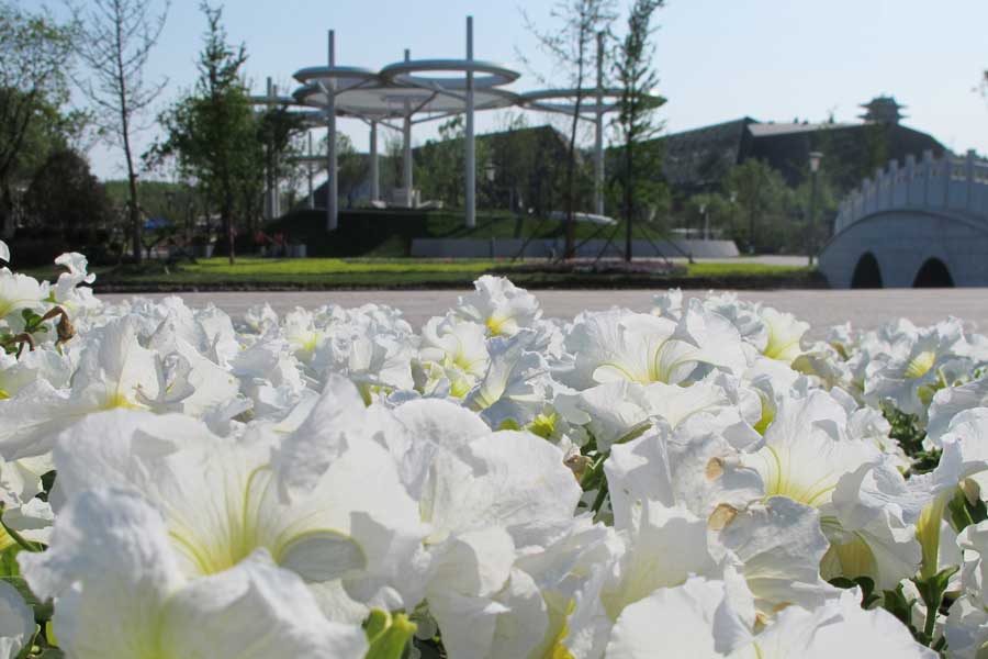 Catch a world of flowers at Tangshan's World Horticultural Exposition