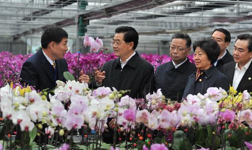 Hu visits Taiwan businesses on mainland before Festival