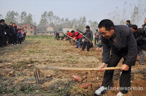 Sweet potatoes bring profit and fun to village