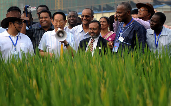 China sets new world record with hybrid rice yield