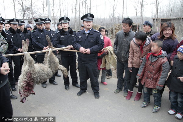 Wolf killed after attacks on humans in E China