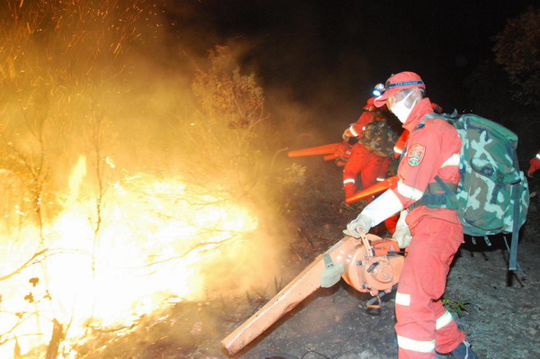 Yunnan forest fire under control