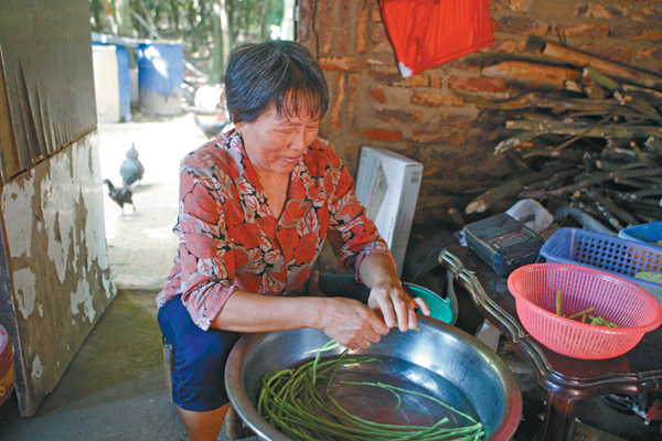 Barren no more on East China island