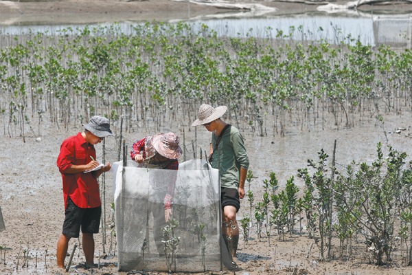 Barren no more on East China island