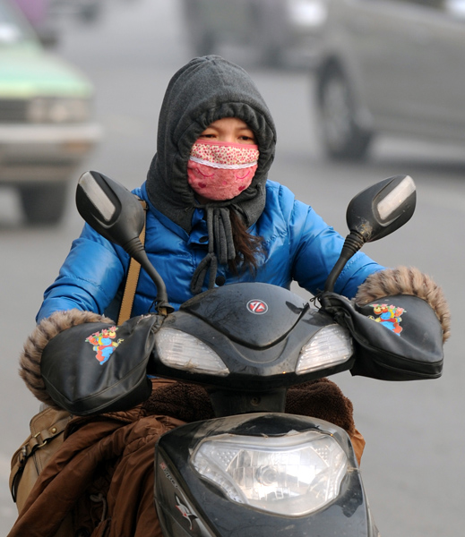 Shoppers snap up air purifiers to beat the smog