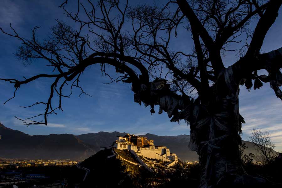 New day dawns on Potala Palace