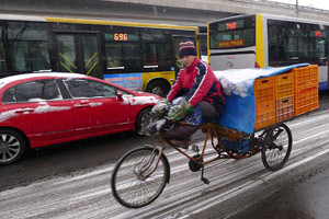 Heavy snow leads to closure of airport in SW China