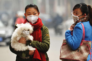 Beijing pollutants too much for environment