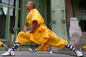 Annual <EM>qigong </EM>event opens in Central China