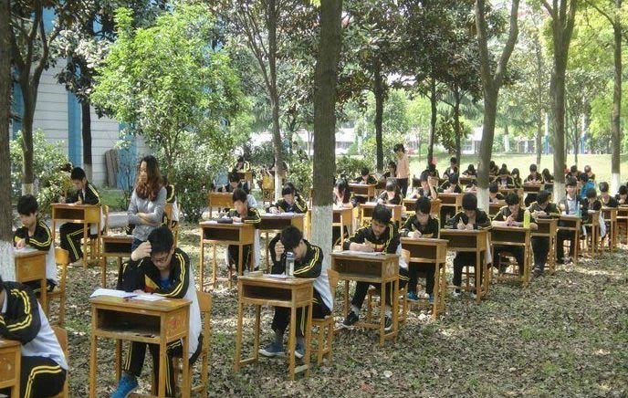 Exams held in woods to prevent cheating