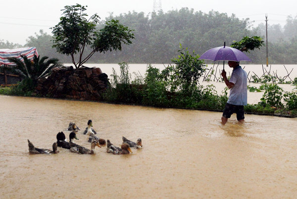 7 dead, over 170,000 affected in Guangdong rainstorm