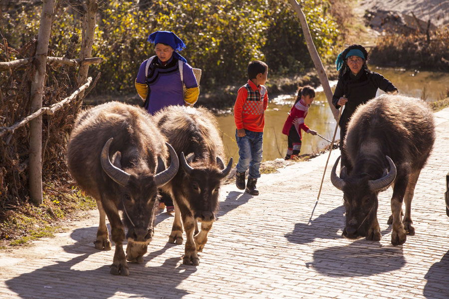 Children express themselves in photo competition