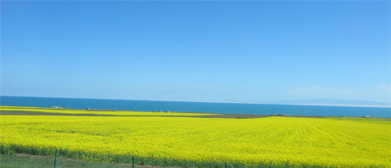 Qinghai's 'biological gene bank'