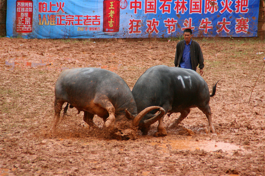 2014 Shilin International Torch Festival kicks off