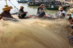 Tidal waves display brute force of nature