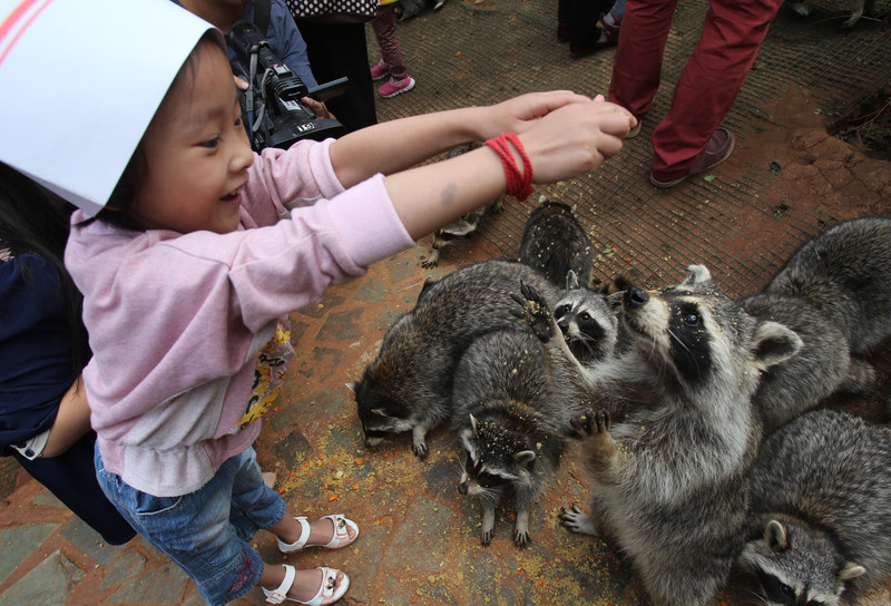 Animals enjoy Moon-cake treats