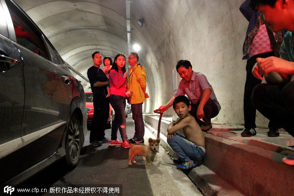 Traffic jam turns tunnel into a dog-walking lot