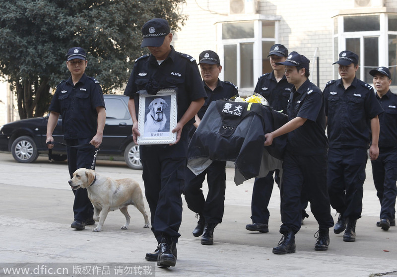 Hero police dog buried in Wuhan