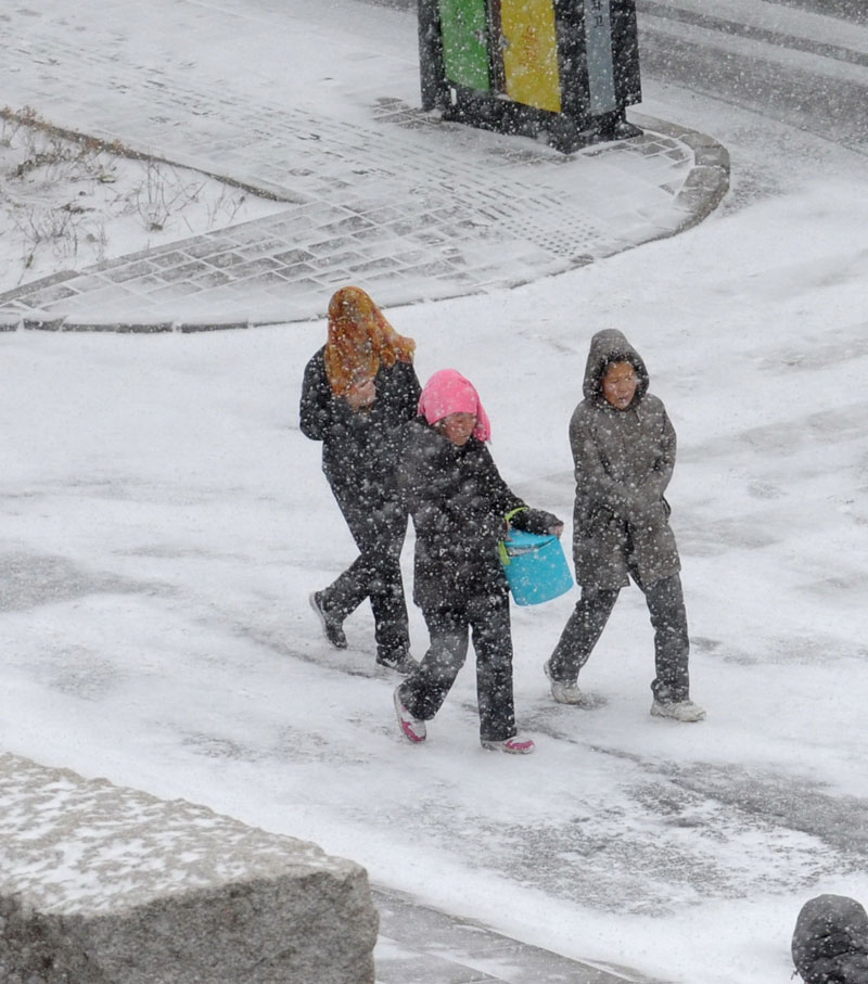 Snowfall makes early visit to North China