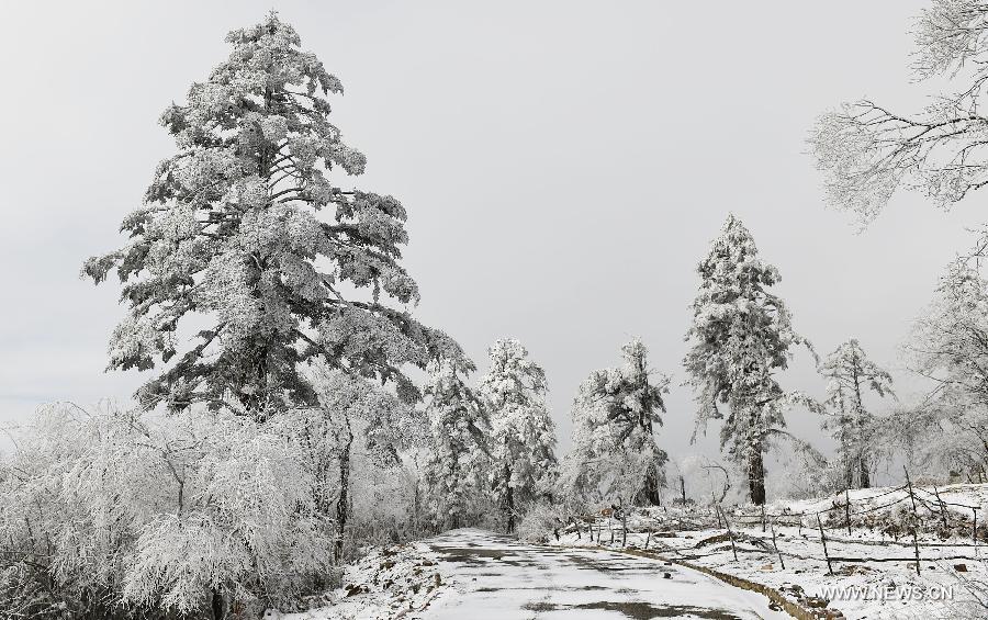 Sichuan witnesses first snow of 2015