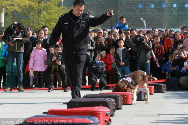 Police reveal role dogs play in fighting crime