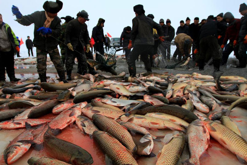 Winter fishing kicks off in NW China's Xinjiang