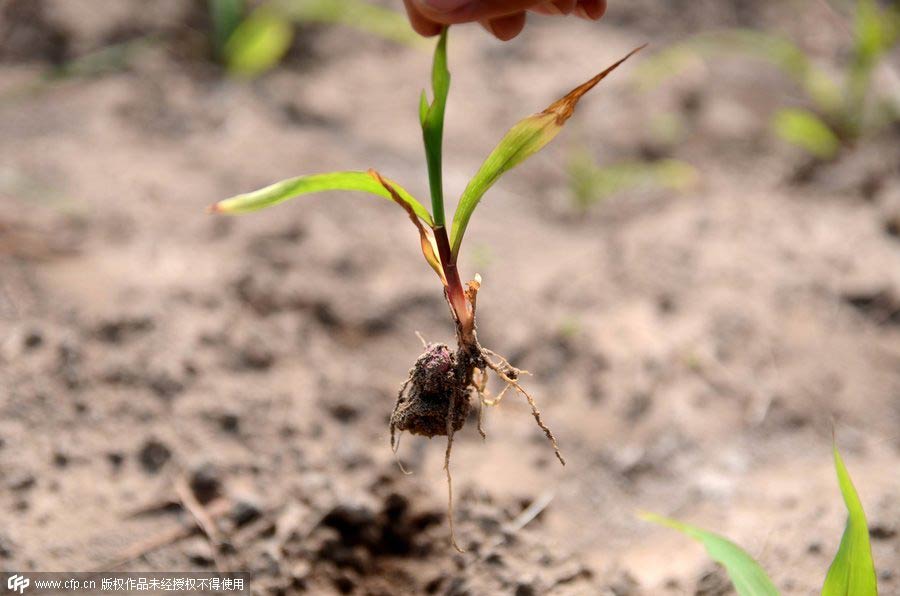 Severe drought hits Southwest China