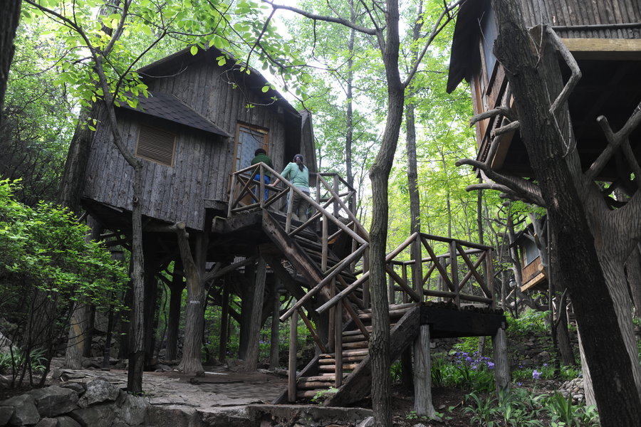 Tree house hotel in Jinan