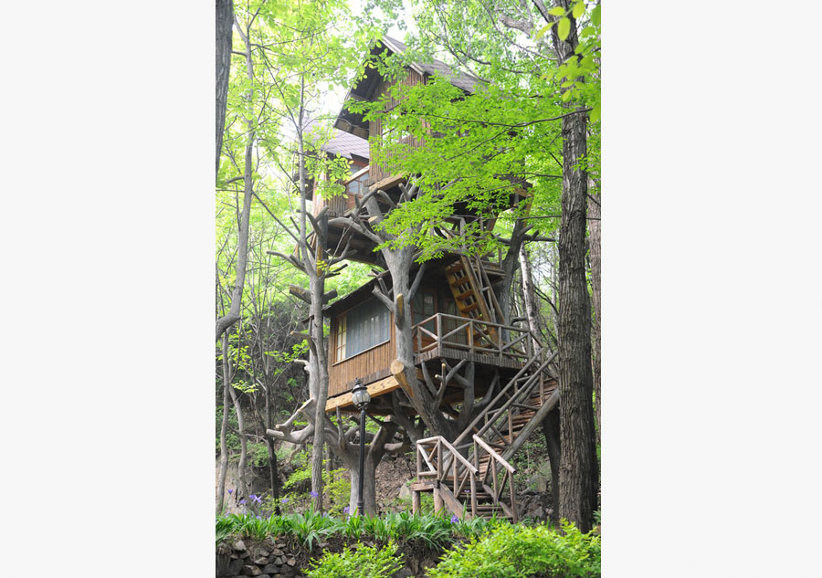 Tree house hotel in Jinan